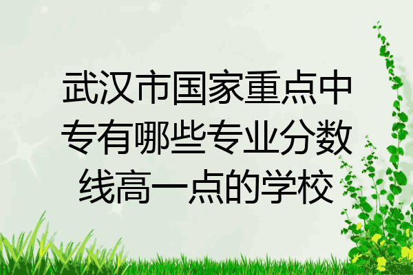 武汉市国家重点中专有哪些专业分数线高一点的学校