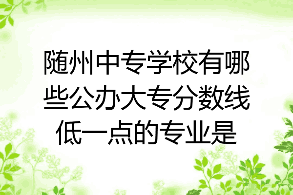 随州中专学校有哪些公办大专分数线低一点的专业是