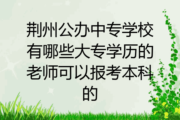 荆州公办中专学校有哪些大专学历的老师可以报考本科的