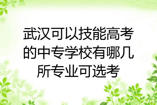 武汉可以技能高考的中专学校有哪几所专业可选考