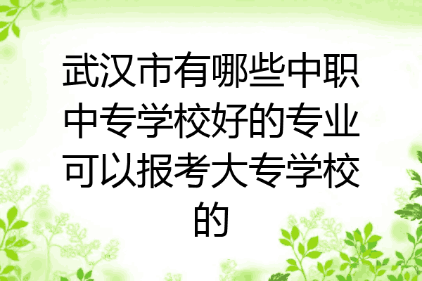 武汉市有哪些中职中专学校好的专业可以报考大专学校的