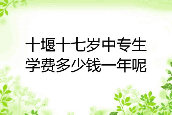 十堰十七岁中专生学费多少钱一年呢