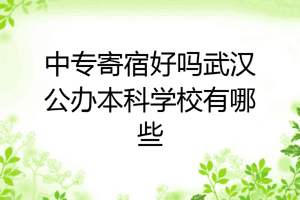 中专寄宿好吗武汉公办本科学校有哪些
