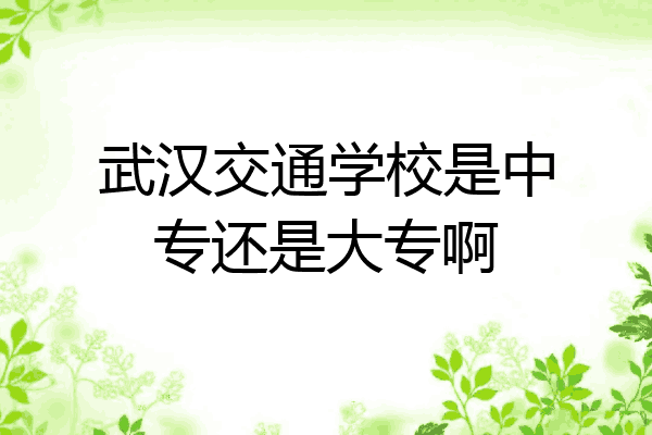 武汉交通学校是中专还是大专啊