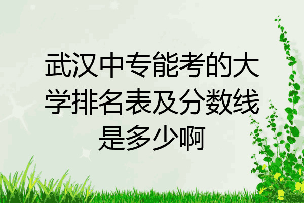 武汉中专能考的大学排名表及分数线是多少啊