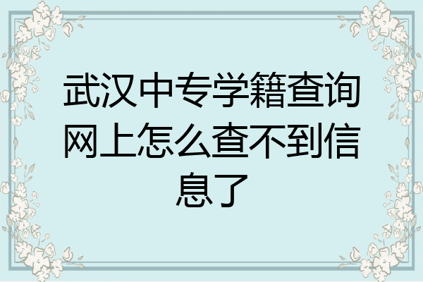 武汉中专学籍查询网上怎么查不到信息了