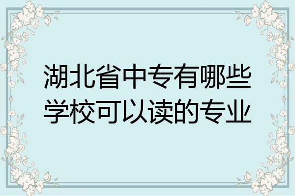 湖北省中专有哪些学校可以读的专业