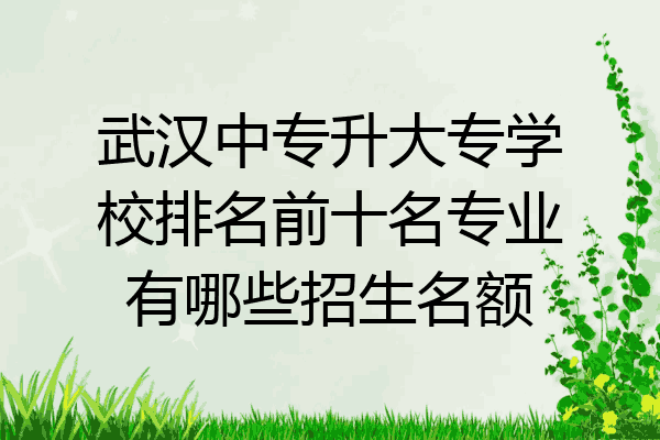 武汉中专升大专学校排名前十名专业有哪些招生名额