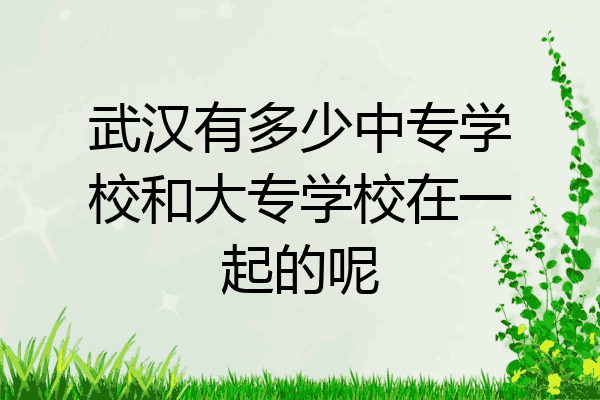 武汉有多少中专学校和大专学校在一起的呢