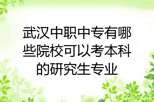 武汉中职中专有哪些院校可以考本科的研究生专业