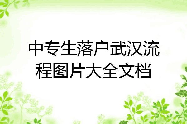 中专生落户武汉流程图片大全文档