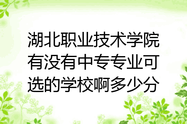 湖北职业技术学院有没有中专专业可选的学校啊多少分