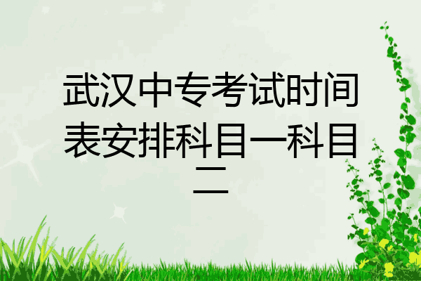 武汉中专考试时间表安排科目一科目二