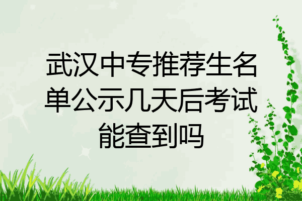 武汉中专推荐生名单公示几天后考试能查到吗