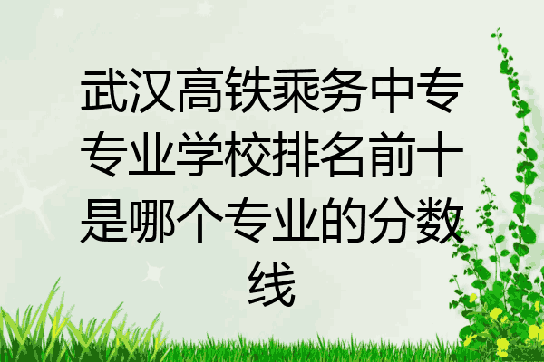 武汉高铁乘务中专专业学校排名前十是哪个专业的分数线