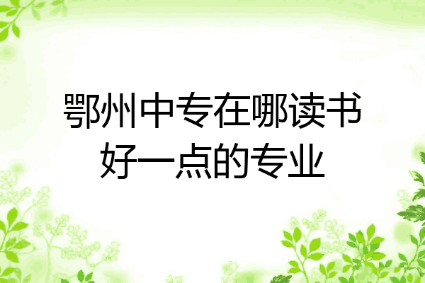鄂州中专在哪读书好一点的专业