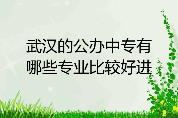 武汉的公办中专有哪些专业比较好进