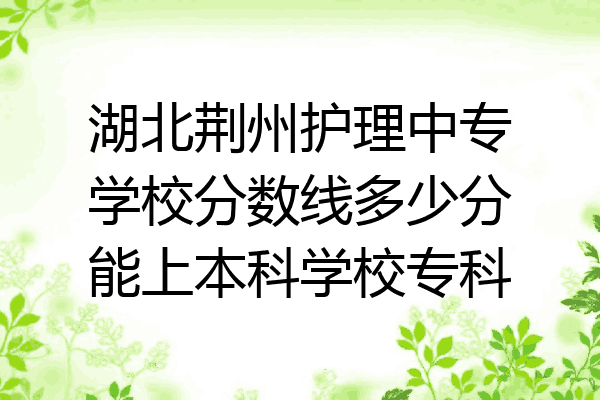 湖北荆州护理中专学校分数线多少分能上本科学校专科