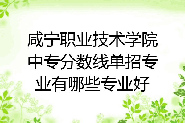 咸宁职业技术学院中专分数线单招专业有哪些专业好