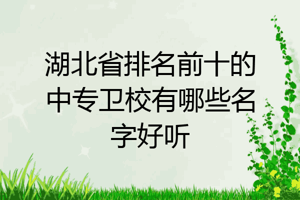 湖北省排名前十的中专卫校有哪些名字好听