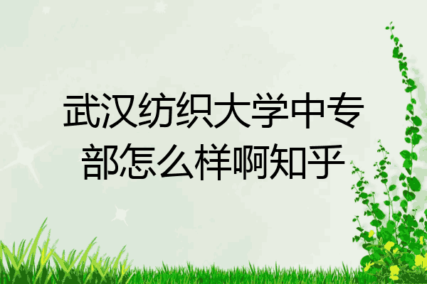 武汉纺织大学中专部怎么样啊知乎