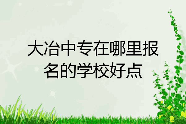 大冶中专在哪里报名的学校好点