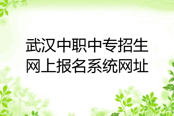 武汉中职中专招生网上报名系统网址