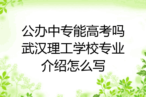 公办中专能高考吗武汉理工学校专业介绍怎么写