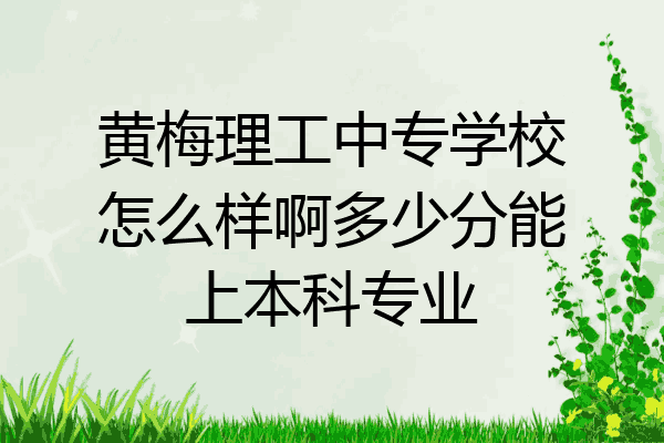 黄梅理工中专学校怎么样啊多少分能上本科专业