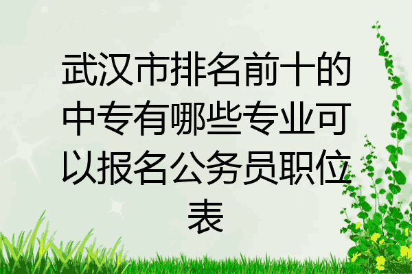 武汉市排名前十的中专有哪些专业可以报名公务员职位表