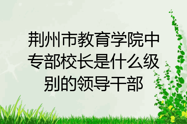 荆州市教育学院中专部校长是什么级别的领导干部