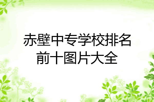 赤壁中专学校排名前十图片大全