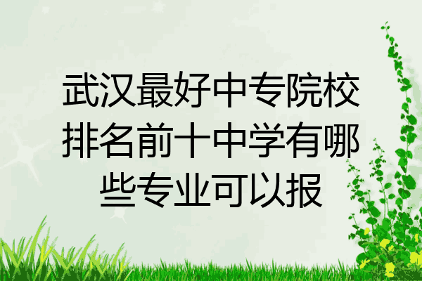 武汉最好中专院校排名前十中学有哪些专业可以报