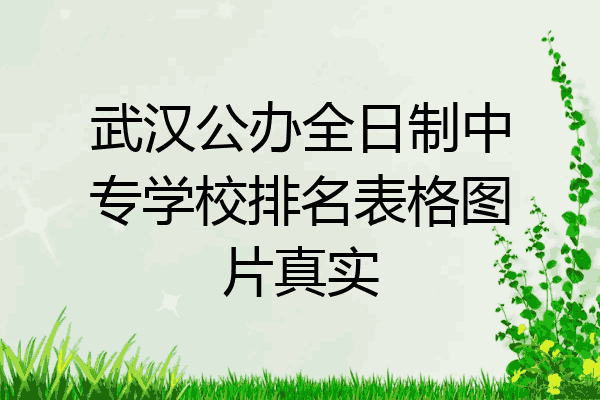 武汉公办全日制中专学校排名表格图片真实