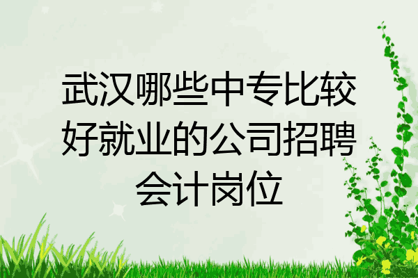 武汉哪些中专比较好就业的公司招聘会计岗位