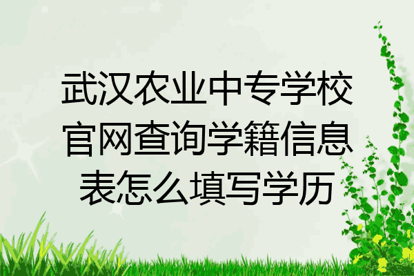 武汉农业中专学校官网查询学籍信息表怎么填写学历