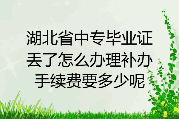湖北省中专毕业证丢了怎么办理补办手续费要多少呢