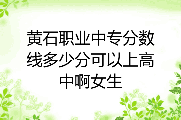 黄石职业中专分数线多少分可以上高中啊女生