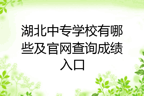 湖北中专学校有哪些及官网查询成绩入口