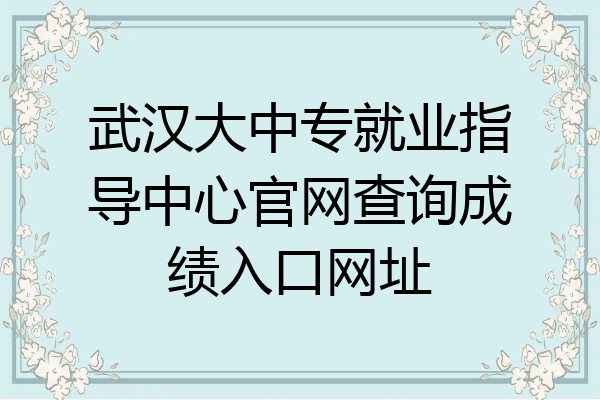 武汉大中专就业指导中心官网查询成绩入口网址