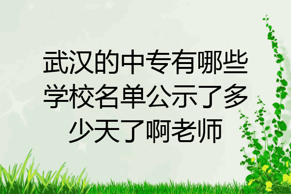 武汉的中专有哪些学校名单公示了多少天了啊老师