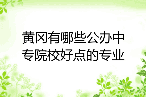 黄冈有哪些公办中专院校好点的专业