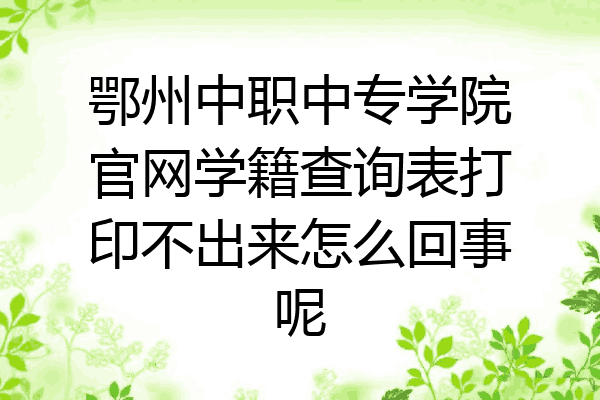 鄂州中职中专学院官网学籍查询表打印不出来怎么回事呢