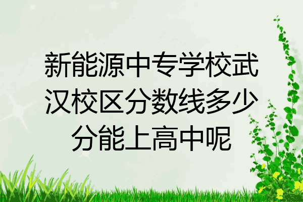 新能源中专学校武汉校区分数线多少分能上高中呢