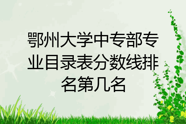 鄂州大学中专部专业目录表分数线排名第几名