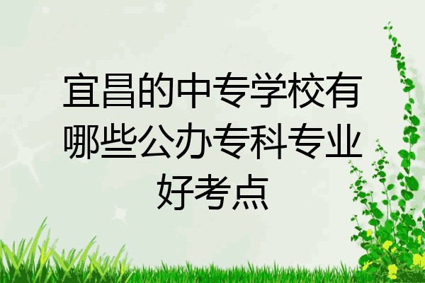 宜昌的中专学校有哪些公办专科专业好考点