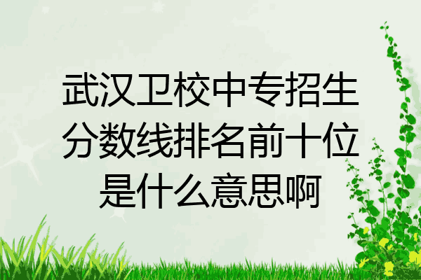 武汉卫校中专招生分数线排名前十位是什么意思啊