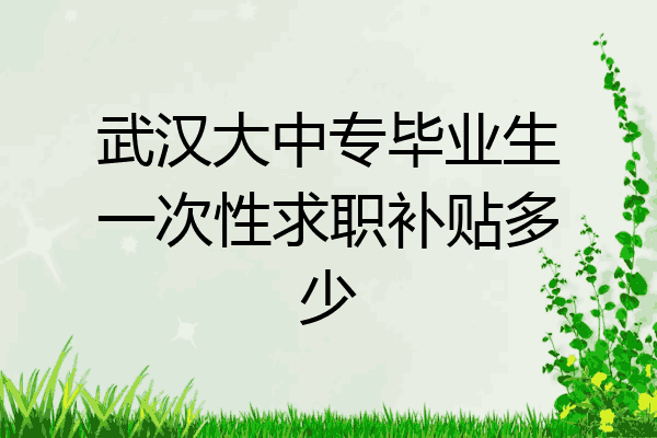 武汉大中专毕业生一次性求职补贴多少