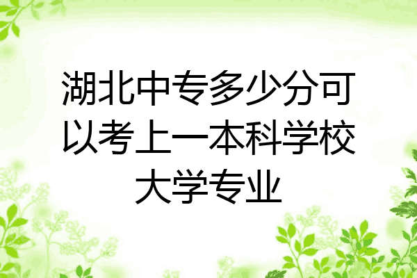 湖北中专多少分可以考上一本科学校大学专业