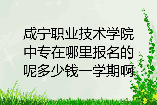 咸宁职业技术学院中专在哪里报名的呢多少钱一学期啊